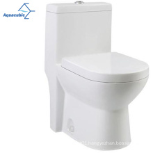 Aquacubic Modern Design Washdown Dual-flush Sanitary Ware Lavatory Toilet